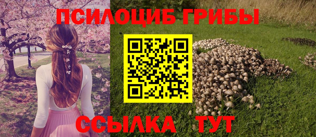 Псилоцибиновые грибы прущие грибы  Галлюциногенные грибы Psilocybe  Вход с VPN  Ульяновск 
