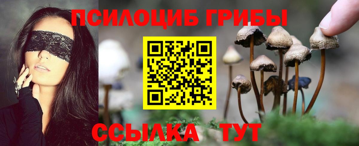Галлюциногенные грибы MAGIC MUSHROOMS Ульяновск