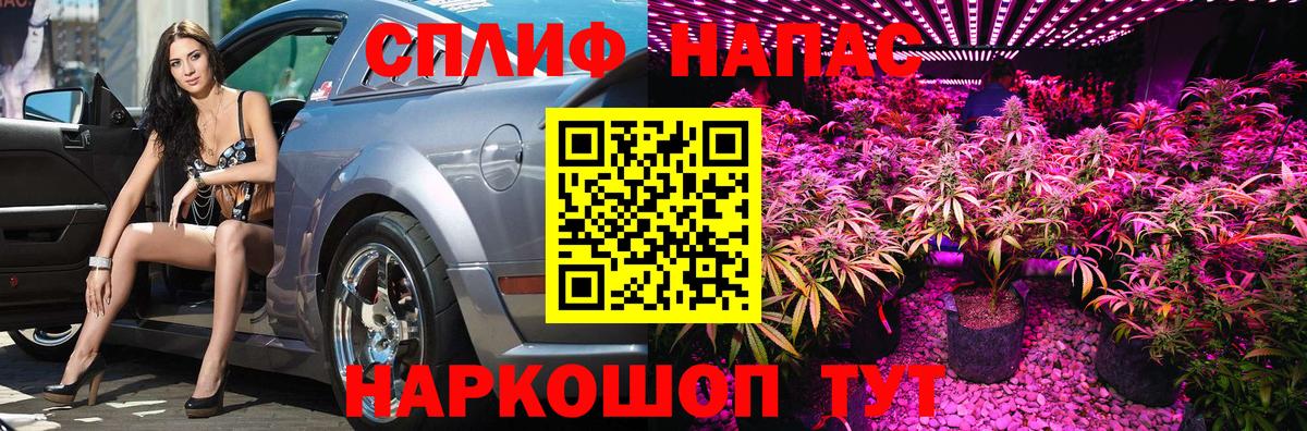 МАРИХУАНА планчик Ульяновск